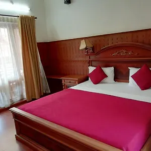 3* Hotel Nikhil Ayurvedic Heritage