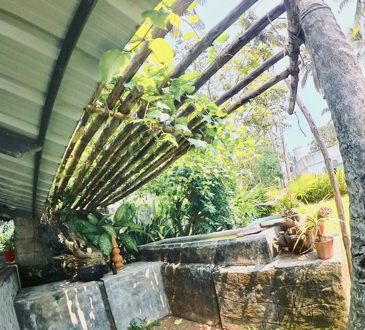 Point Break Varkala Bed & Breakfast